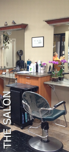 The Salon